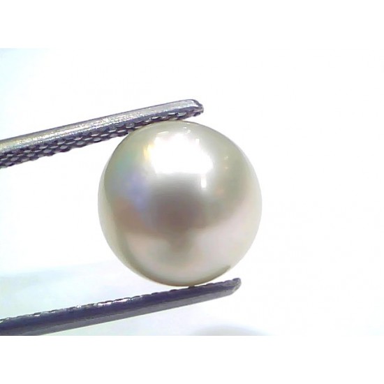 6.83 Ct Natural Certified Real South Sea Pearl Certified Moti