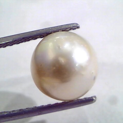 6.82 Ct Natural Certified Real South Sea Pearl,Certified Moti