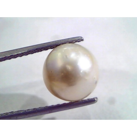 6.82 Ct Natural Certified Real South Sea Pearl,Certified Moti