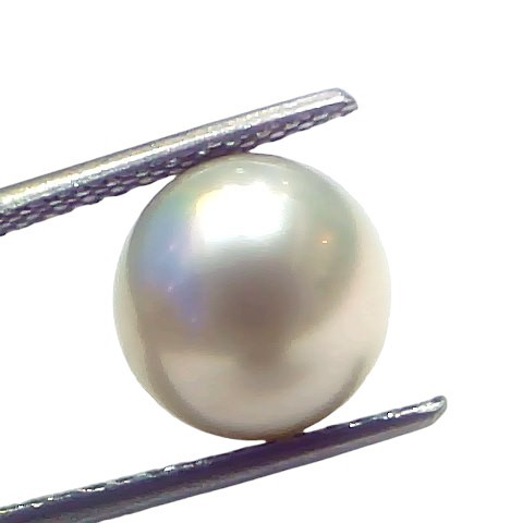 6.88 Ct Natural Certified Real South Sea Pearl Certified Moti 6.88 Ct Natural Certified Real South Sea Pearl Certified Moti