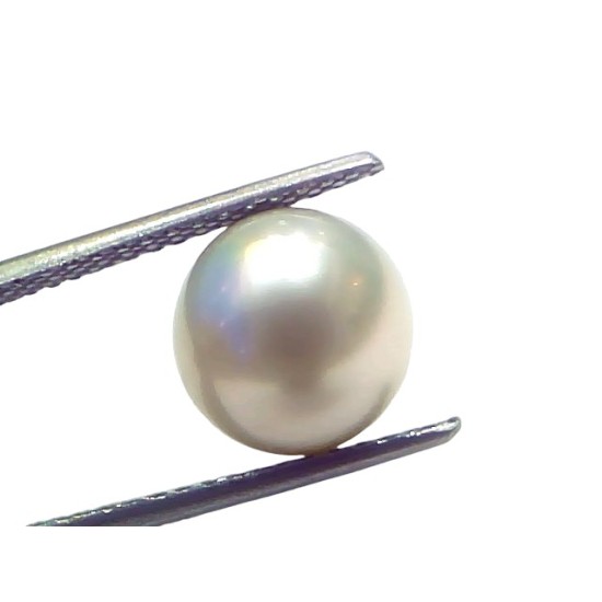 6.88 Ct Natural Certified Real South Sea Pearl Certified Moti