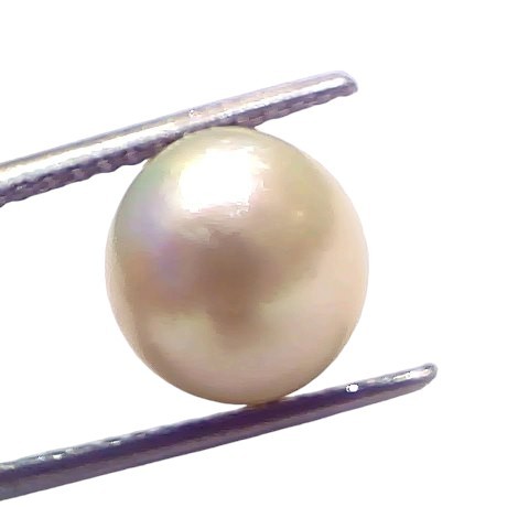 6.92 Ct Natural Certified Real South Sea Pearl Certified Moti 6.92 Ct Natural Certified Real South Sea Pearl Certified Moti