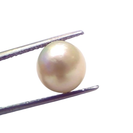 6.92 Ct Natural Certified Real South Sea Pearl Certified Moti