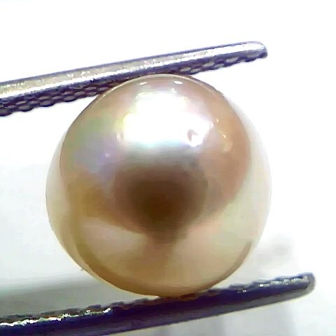 6.90 Ct Natural Certified Real South Sea Pearl Certified Moti