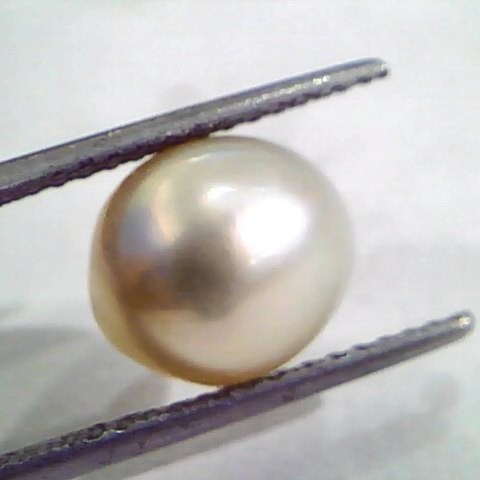 6.96 Ct Natural Certified Real South Sea Pearl,Certified Moti