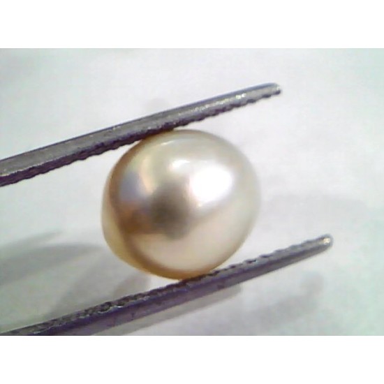 6.96 Ct Natural Certified Real South Sea Pearl,Certified Moti