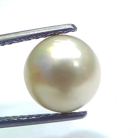 6.96 Ct Natural Certified Real South Sea Pearl Certified Moti