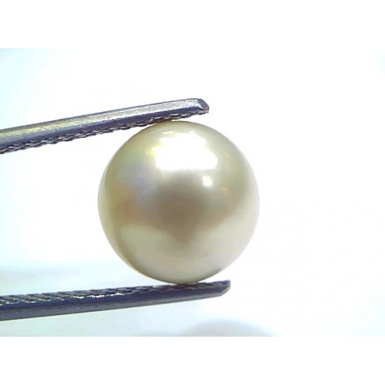 6.96 Ct Natural Certified Real South Sea Pearl Certified Moti