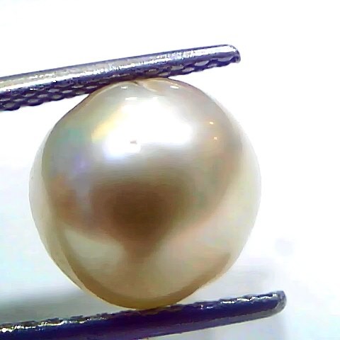 6.97 Ct Natural Certified Real South Sea Pearl Certified Moti