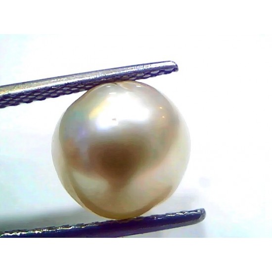 6.97 Ct Natural Certified Real South Sea Pearl Certified Moti