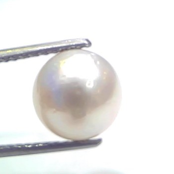 7.03 Ct Natural Certified Real South Sea Pearl Certified Moti