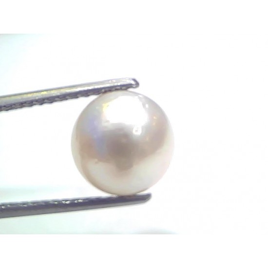 7.03 Ct Natural Certified Real South Sea Pearl Certified Moti