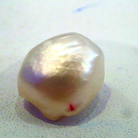 7.01 Ct Certified Natural Real Venunjula Pearl,Real moti