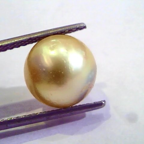 7.05 Carat Natural Certified Real South Sea Pearl,Certified Moti