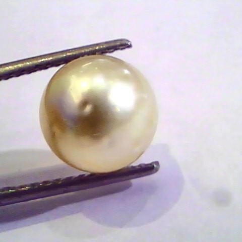 7.07 Carat Natural Certified Real South Sea Pearl,Certified Moti