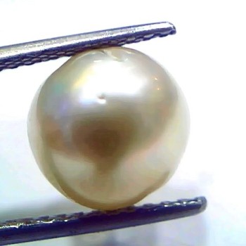 7.10 Ct Natural Certified Real South Sea Pearl Certified Moti