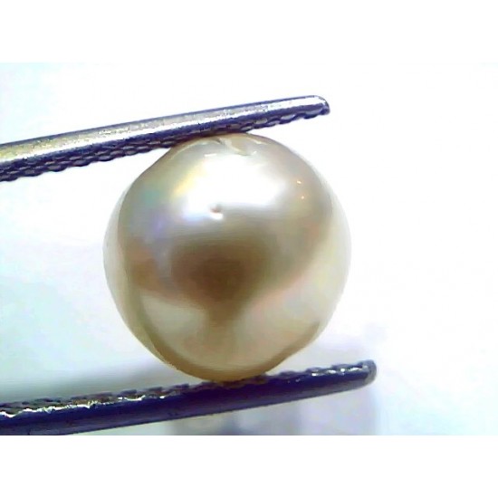 7.10 Ct Natural Certified Real South Sea Pearl Certified Moti