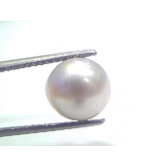 7.11 Ct Natural Certified Real South Sea Pearl Certified Moti