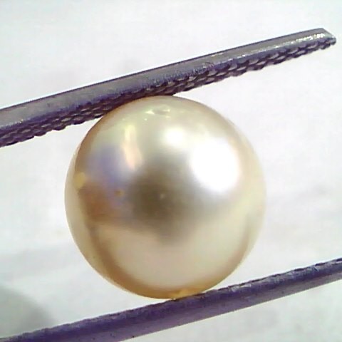 7.18 Carat Natural Certified Real South Sea Pearl,Certified Moti