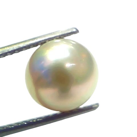 7.19 Ct Natural Certified Real South Sea Pearl Certified Moti 7.19 Ct Natural Certified Real South Sea Pearl Certified Moti