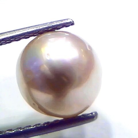 7.18 Ct Natural Certified Real South Sea Pearl Certified Moti