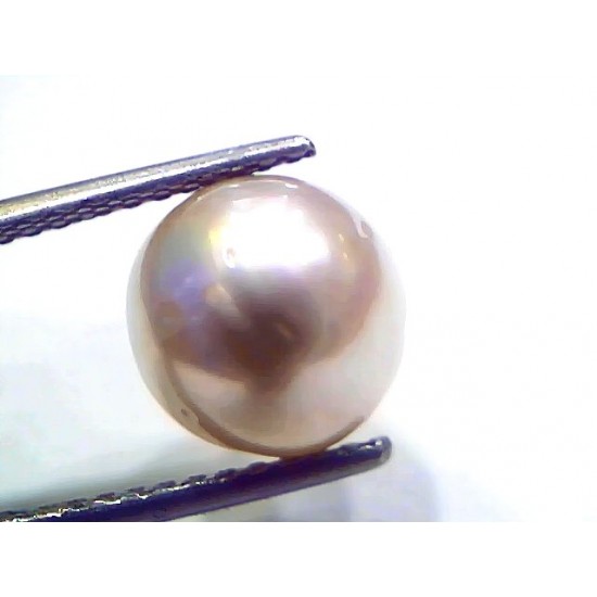 7.18 Ct Natural Certified Real South Sea Pearl Certified Moti