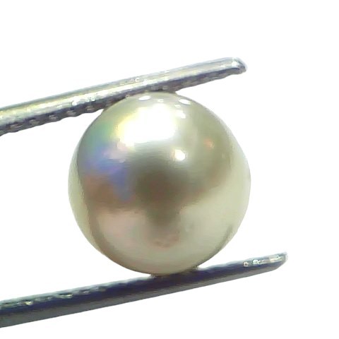 7.19 Ct Natural Certified Real South Sea Pearl Certified Moti 7.19 Ct Natural Certified Real South Sea Pearl Certified Moti