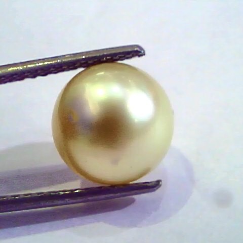 7.25 Carat Natural Certified Real South Sea Pearl,Certified Moti