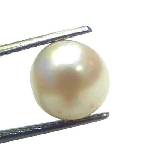 7.31 Ct Natural Certified Real South Sea Pearl Certified Moti 7.31 Ct Natural Certified Real South Sea Pearl Certified Moti