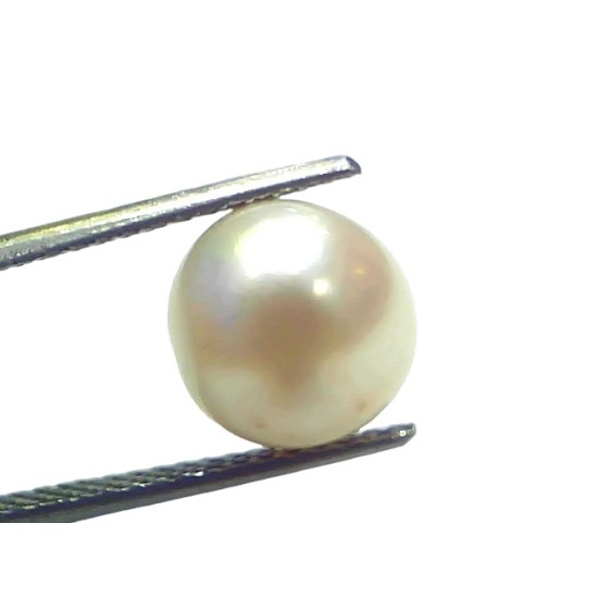 7.31 Ct Natural Certified Real South Sea Pearl Certified Moti