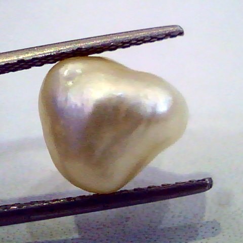 7.28 Ct Certified Natural Real Venunjula Pearl,Real moti