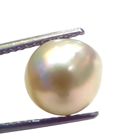 7.33 Ct Natural Certified Real South Sea Pearl Certified Moti 7.33 Ct Natural Certified Real South Sea Pearl Certified Moti