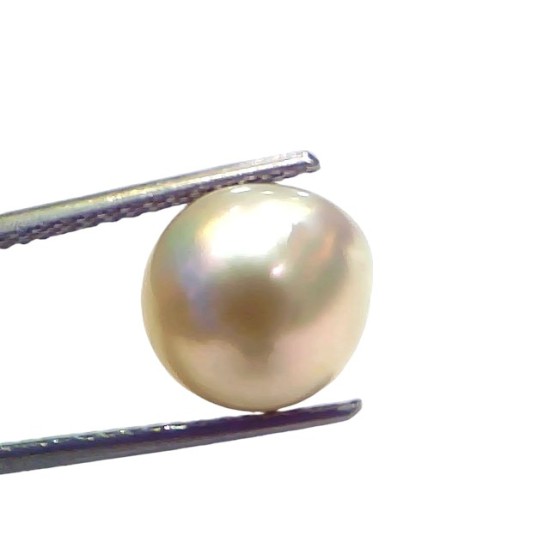7.33 Ct Natural Certified Real South Sea Pearl Certified Moti