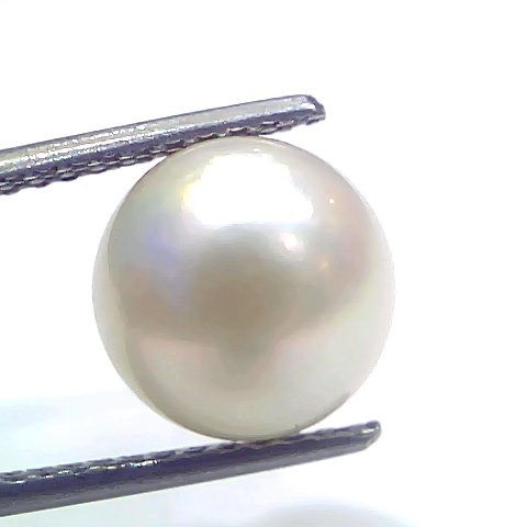 7.32 Ct Natural Certified Real South Sea Pearl Certified Moti