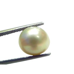 7.38 Ct Natural Certified Real South Sea Pearl Certified Moti 7.38 Ct Natural Certified Real South Sea Pearl Certified Moti