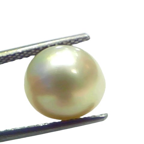 7.38 Ct Natural Certified Real South Sea Pearl Certified Moti 7.38 Ct Natural Certified Real South Sea Pearl Certified Moti