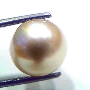 7.42 Ct Natural Certified Real South Sea Pearl Certified Moti