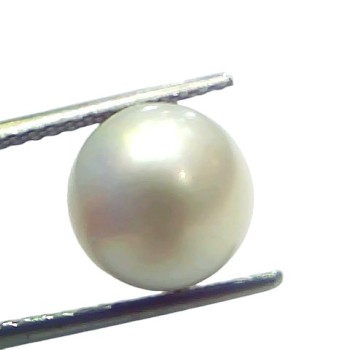 7.48 Ct Natural Certified Real South Sea Pearl Certified Moti 7.48 Ct Natural Certified Real South Sea Pearl Certified Moti