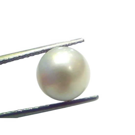 7.48 Ct Natural Certified Real South Sea Pearl Certified Moti
