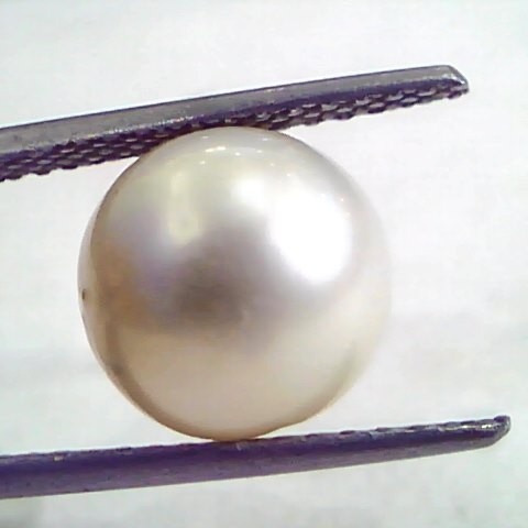 7.50 Carat Natural Certified Real South Sea Pearl,Certified Moti