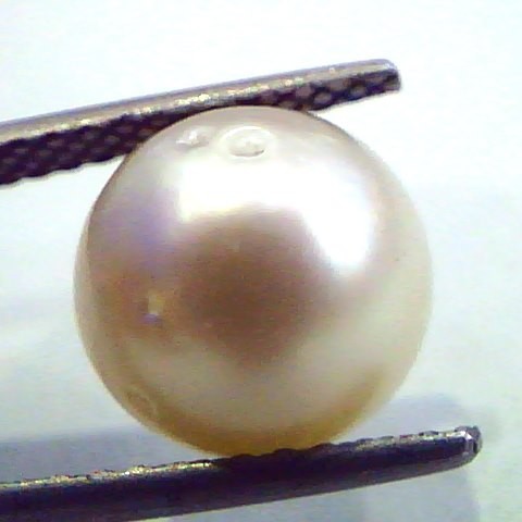 7.52 Carat Natural Certified Real South Sea Pearl,Certified Moti
