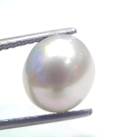 7.55 Ct Natural Certified Real South Sea Pearl Certified Moti
