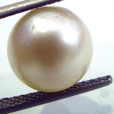 7.59 Carat Natural Certified Real South Sea Pearl,Certified Moti