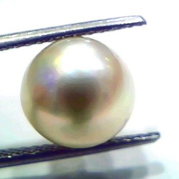 7.63 Ct Natural Certified Real South Sea Pearl Certified Moti