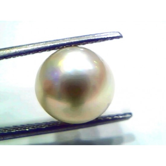 7.63 Ct Natural Certified Real South Sea Pearl Certified Moti