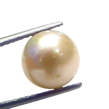 7.64 Ct Natural Certified Real South Sea Pearl Certified Moti 7.64 Ct Natural Certified Real South Sea Pearl Certified Moti