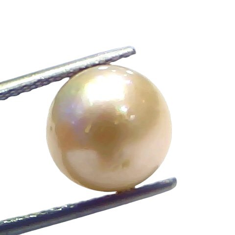 7.64 Ct Natural Certified Real South Sea Pearl Certified Moti 7.64 Ct Natural Certified Real South Sea Pearl Certified Moti