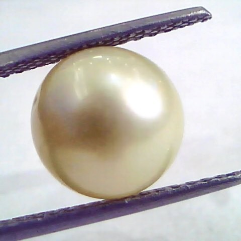 7.68 Carat Natural Certified Real South Sea Pearl,Certified Moti