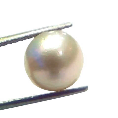 7.75 Ct Natural Certified Real South Sea Pearl Certified Moti 7.75 Ct Natural Certified Real South Sea Pearl Certified Moti