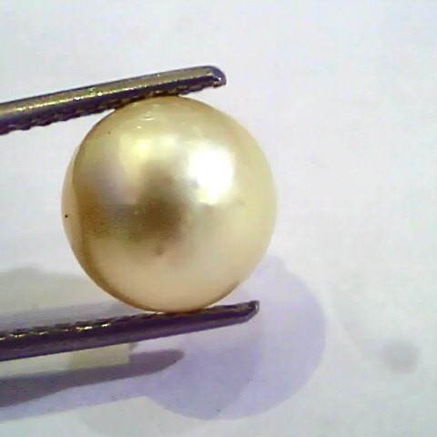 7.77 Carat Natural Certified Real South Sea Pearl,Certified Moti